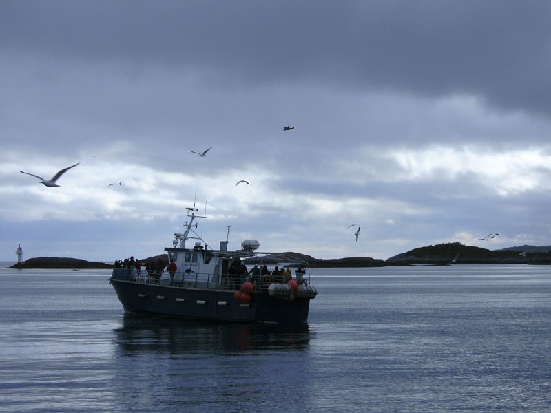 Nordkap 2009 408.jpg